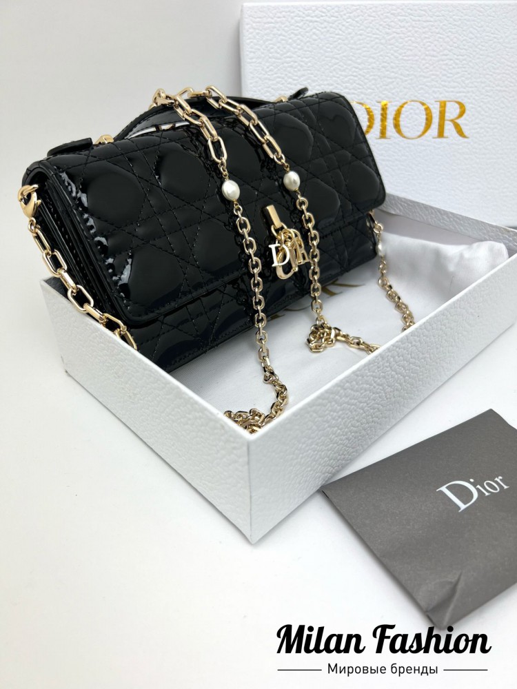 Сумка Christian Dior V33570. Вид 2