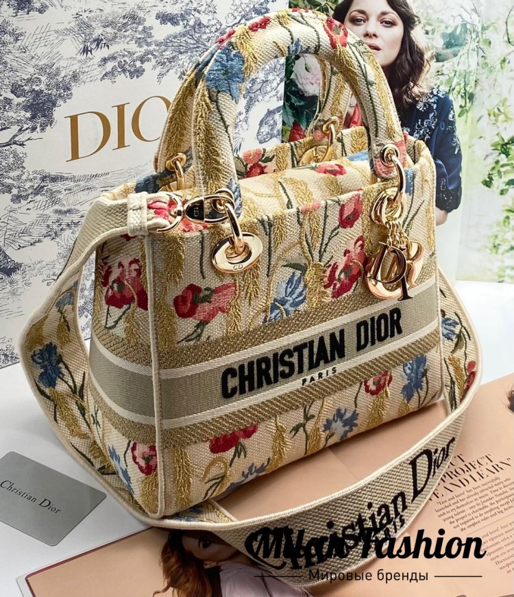 Сумка Christian Dior V5994. Вид 1