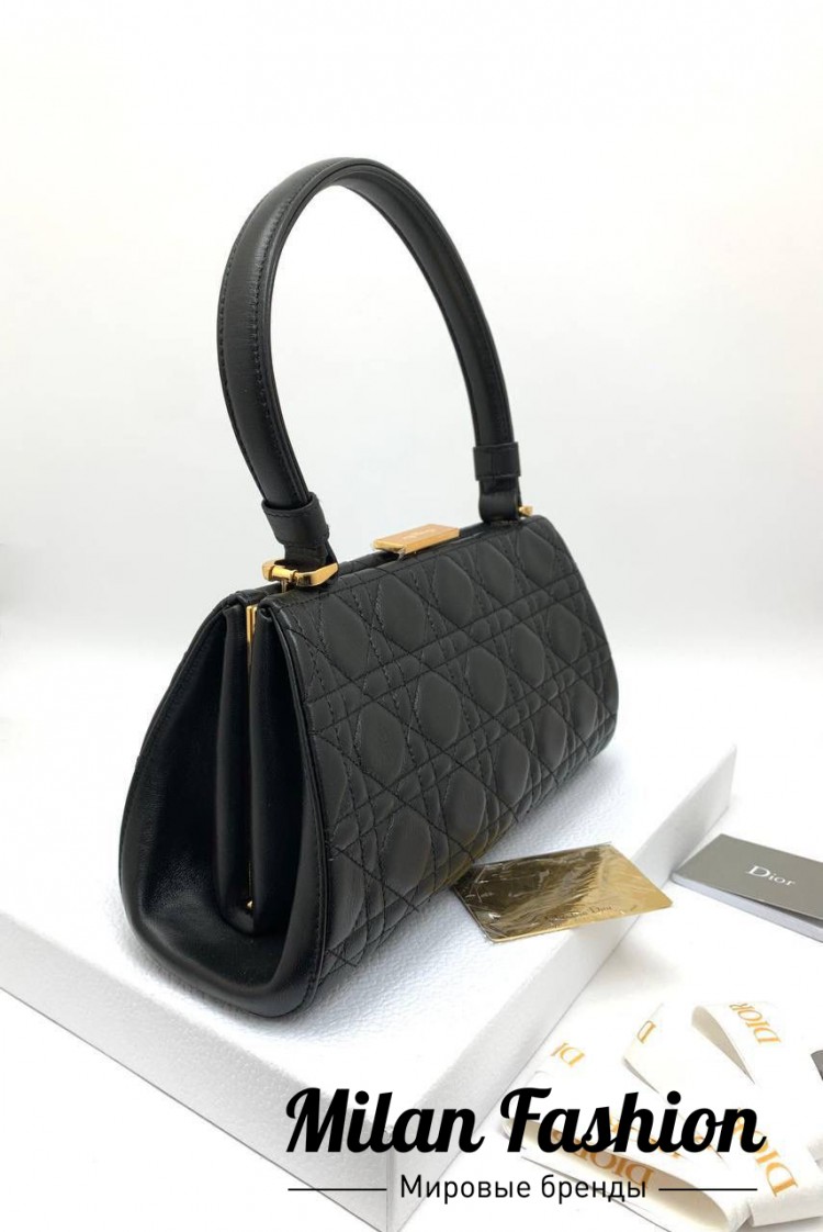 Сумка  Christian Dior V39505. Вид 2