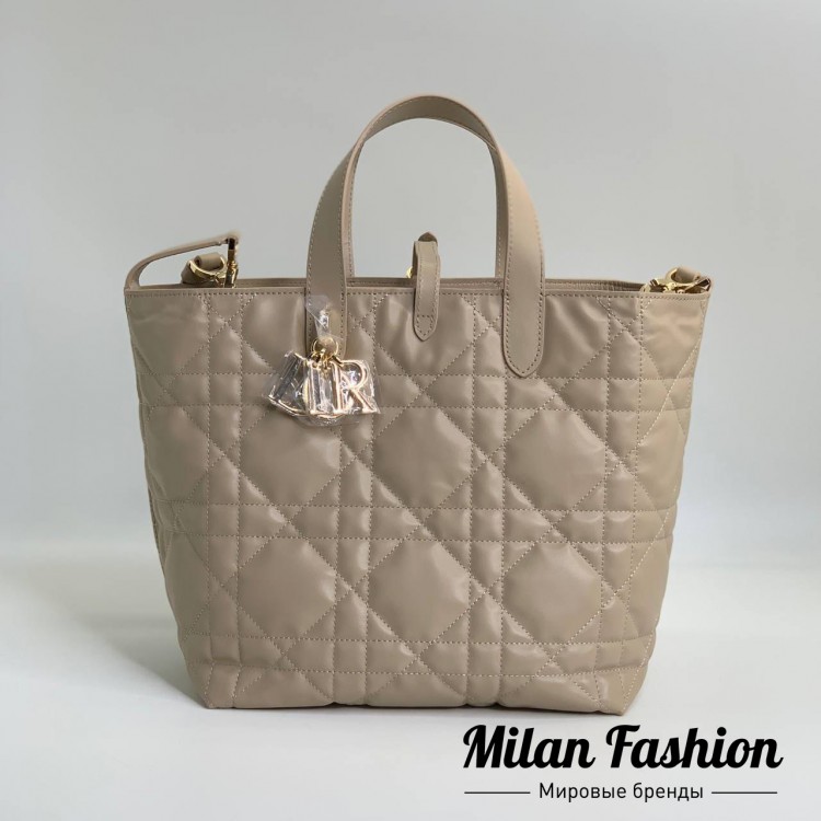 Сумка  Christian Dior V52134. Вид 2