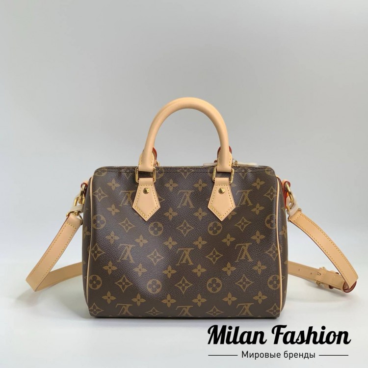 Сумка  Louis Vuitton V52281. Вид 2