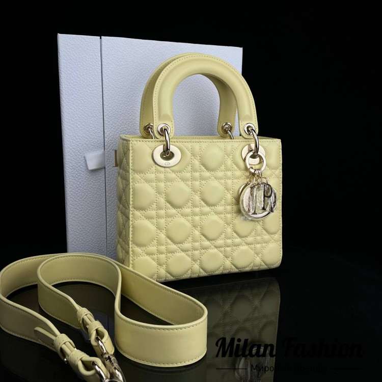 Сумка  Christian Dior V6851. Вид 1