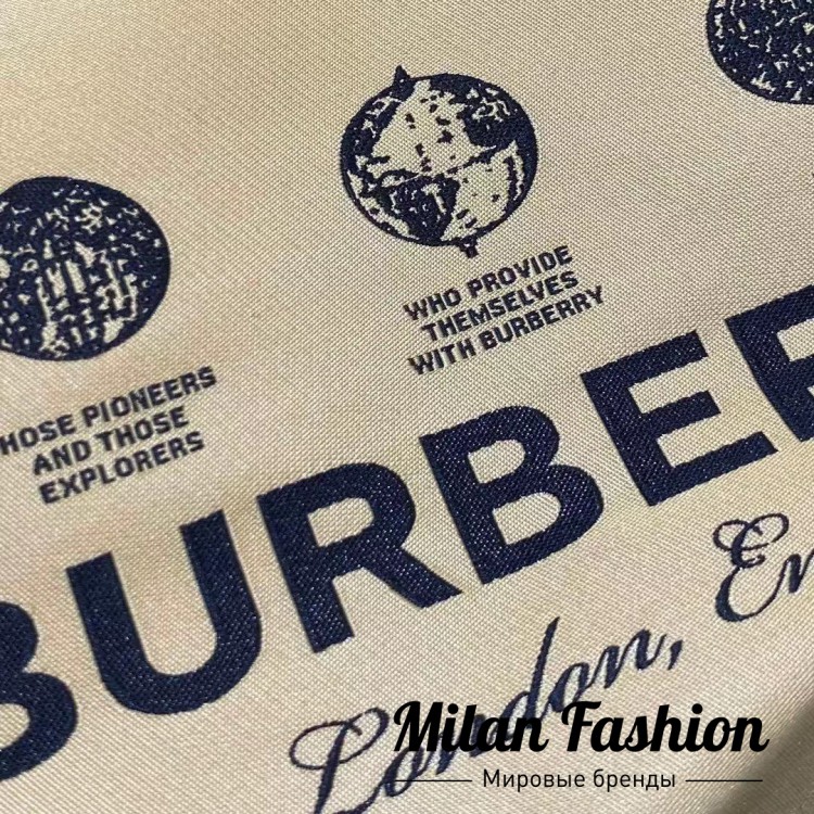 Худи  Burberry V13887. Вид 4