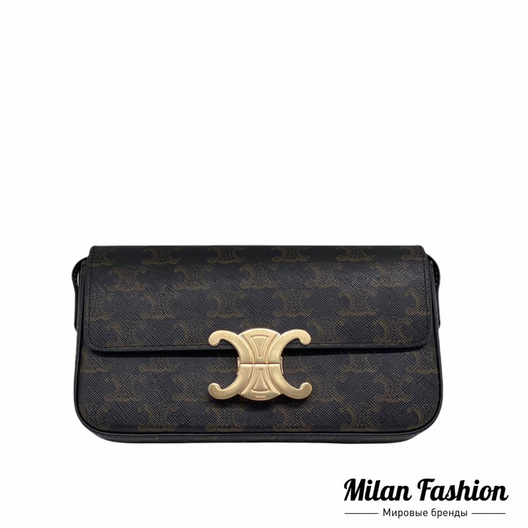Сумка  Celine V7000. Вид 1
