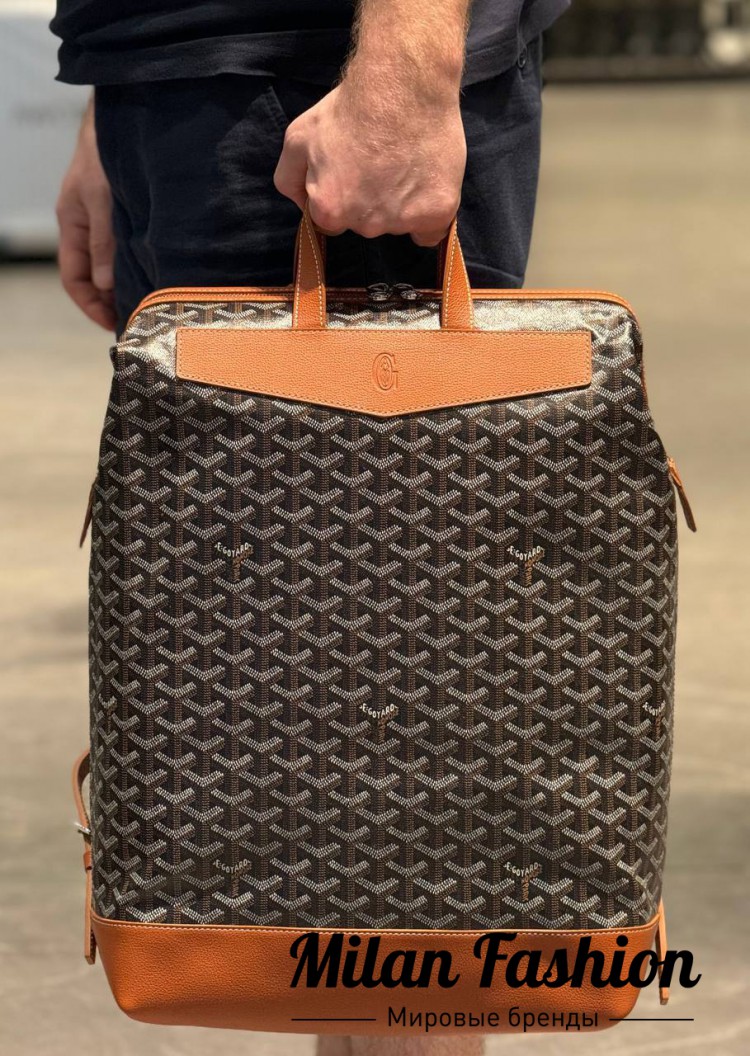 Рюкзак Goyard  … V33987. Вид 5