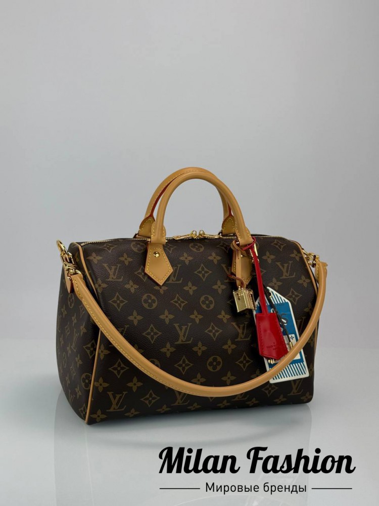 Сумка  Louis Vuitton V253008. Вид 2