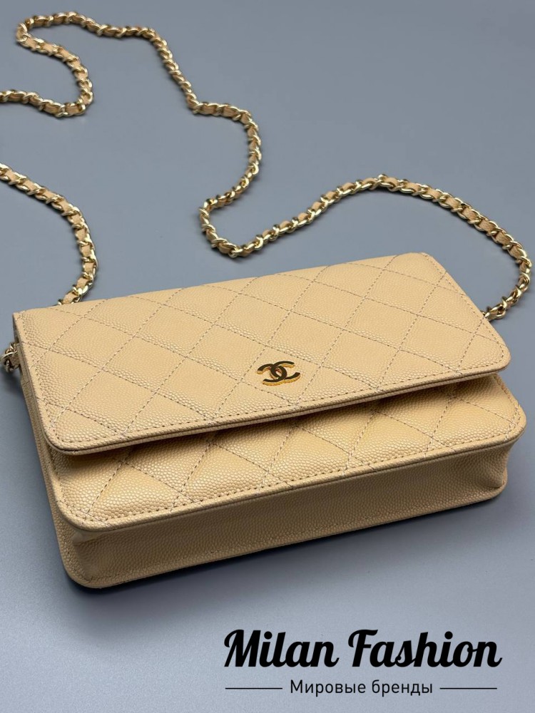 Сумка  Chanel V52369. Вид 3