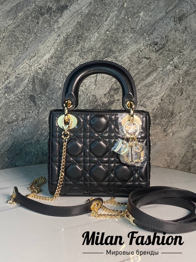 Сумка  Christian Dior V52454. Вид 1