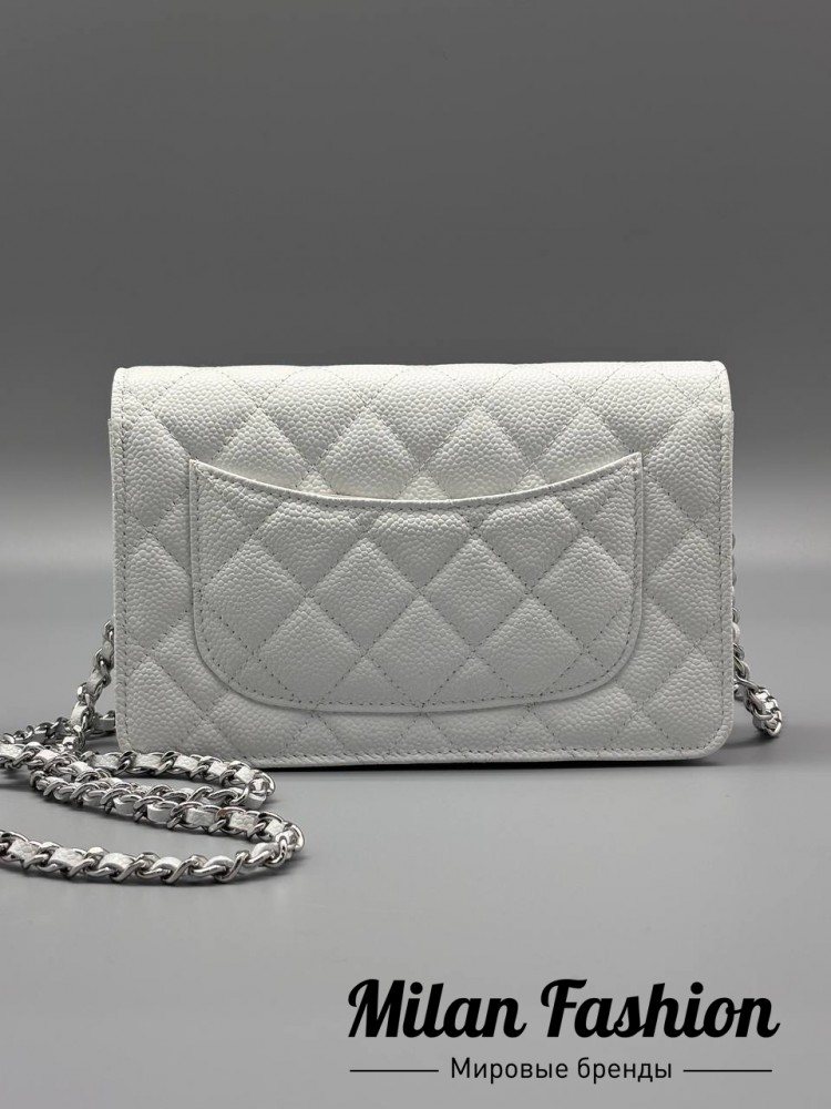 Сумка  Chanel V52521. Вид 2