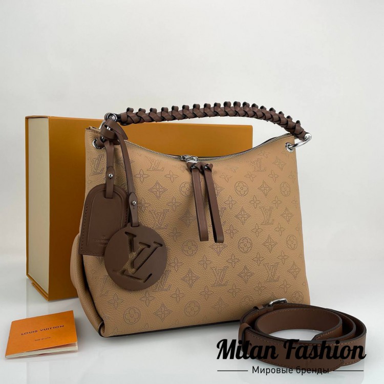 Сумка  Louis Vuitton V52389. Вид 1