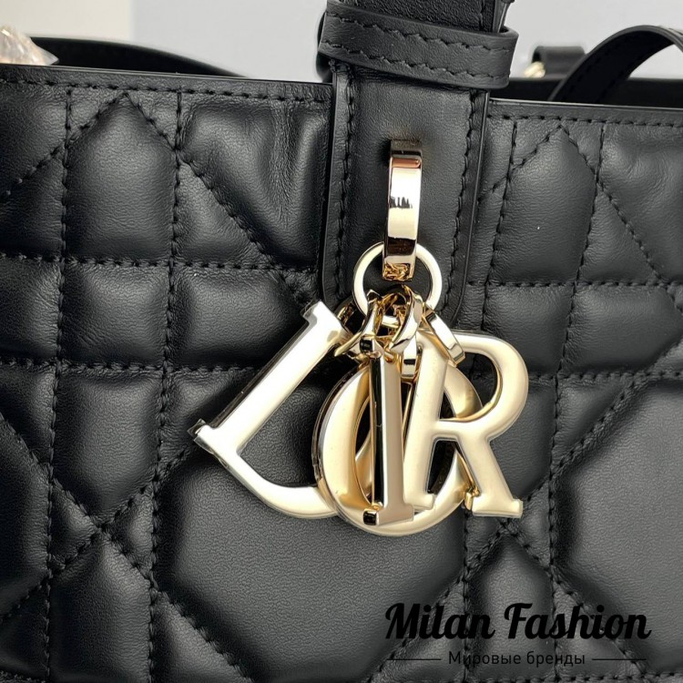 Сумка  Christian Dior V52170. Вид 2