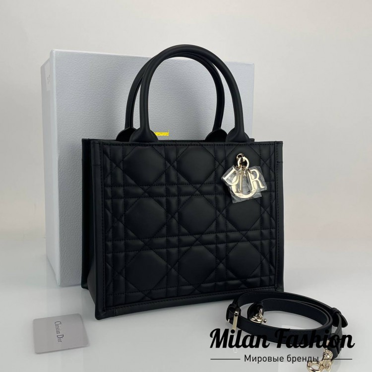 Сумка  Christian Dior V52162. Вид 1