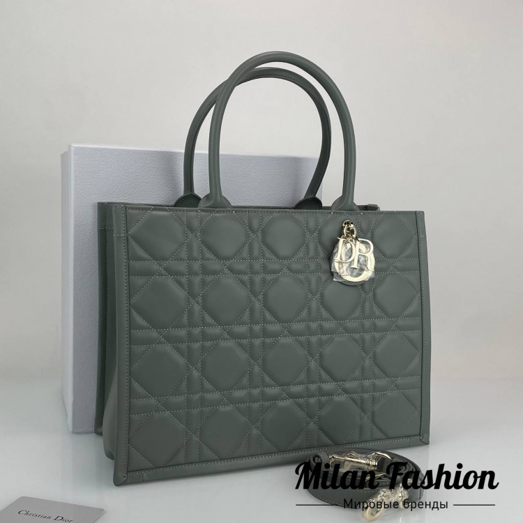 Сумка  Christian Dior V52166. Вид 1