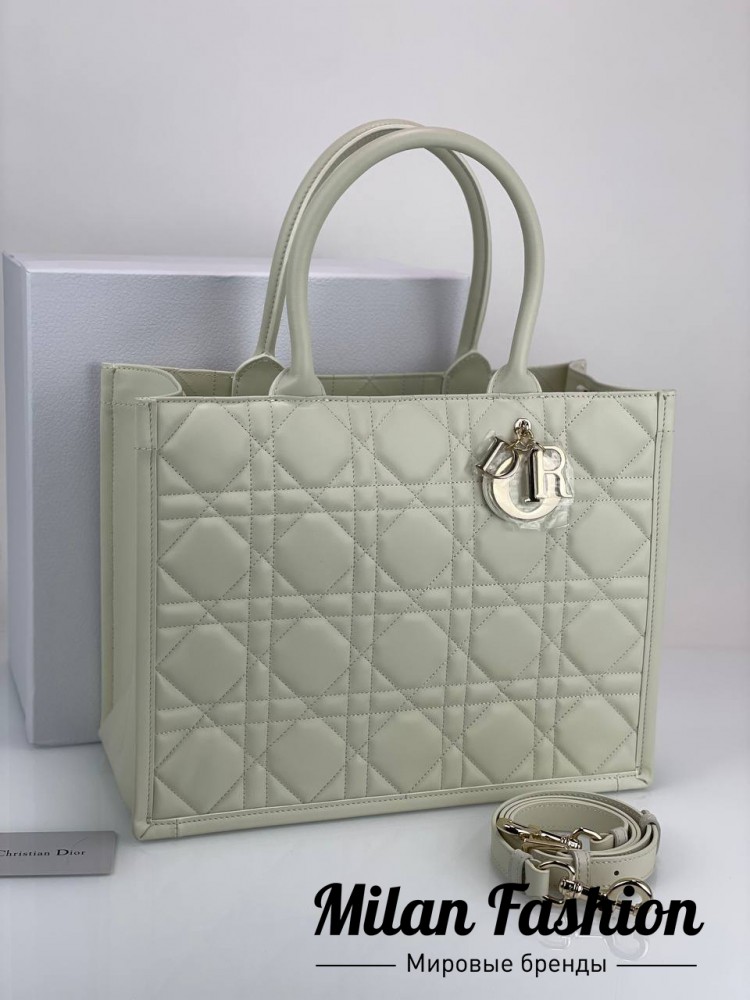 Сумка  Christian Dior V52164. Вид 1