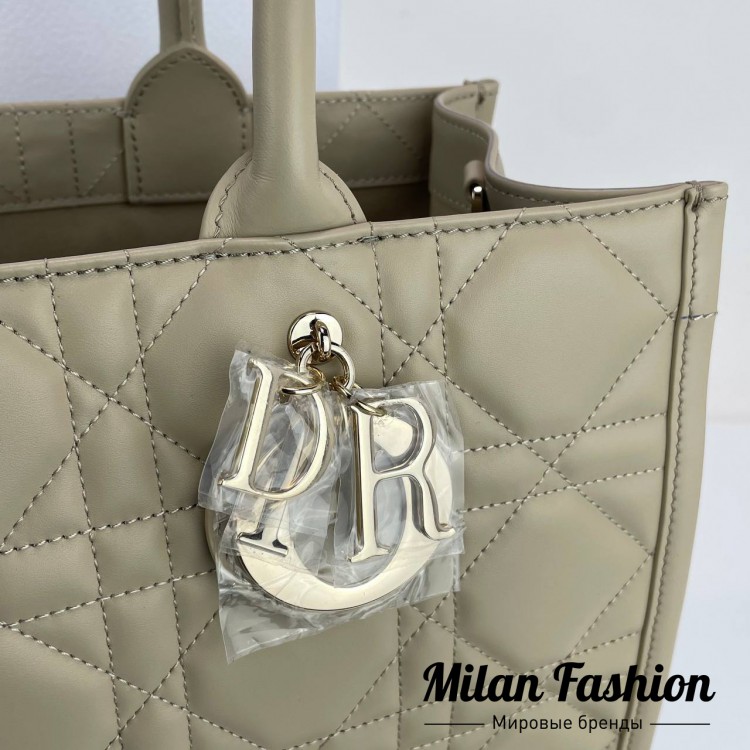 Сумка  Christian Dior V52163. Вид 2