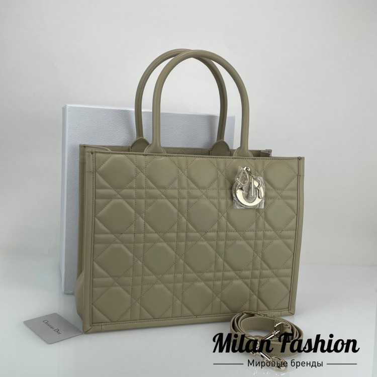 Сумка  Christian Dior V52163. Вид 1