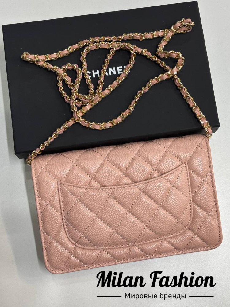 Сумка  Chanel V53527. Вид 2