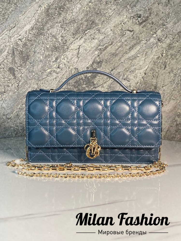 Сумка  Christian Dior V52226. Вид 1