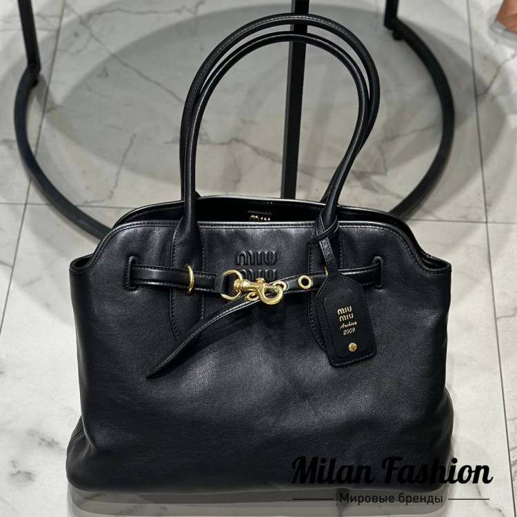 Сумка  Miu Miu V34760. Вид 1
