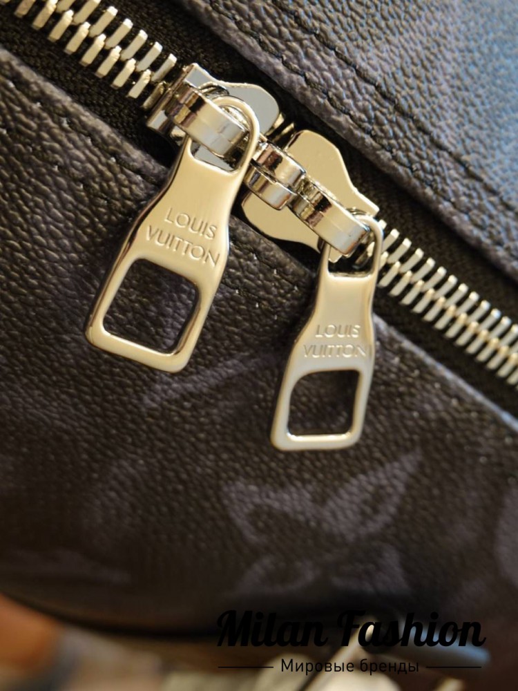 Сумка  Louis Vuitton v0603. Вид 6