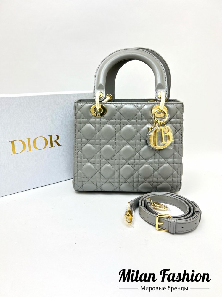 Сумка Lady Dior  Christian Dior v1020. Вид 6