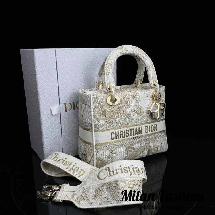 Сумка  Christian Dior V10795. Вид 2