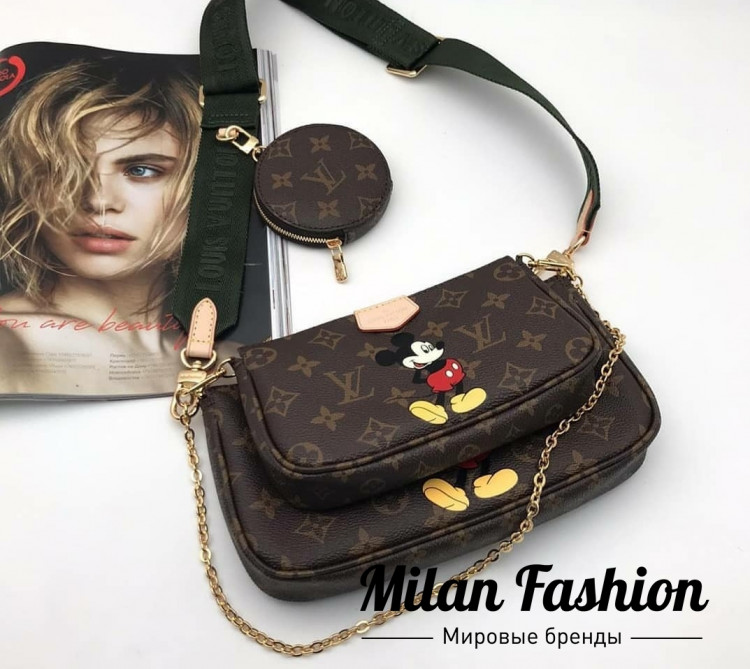 Сумка  Louis Vuitton v1728. Вид 1