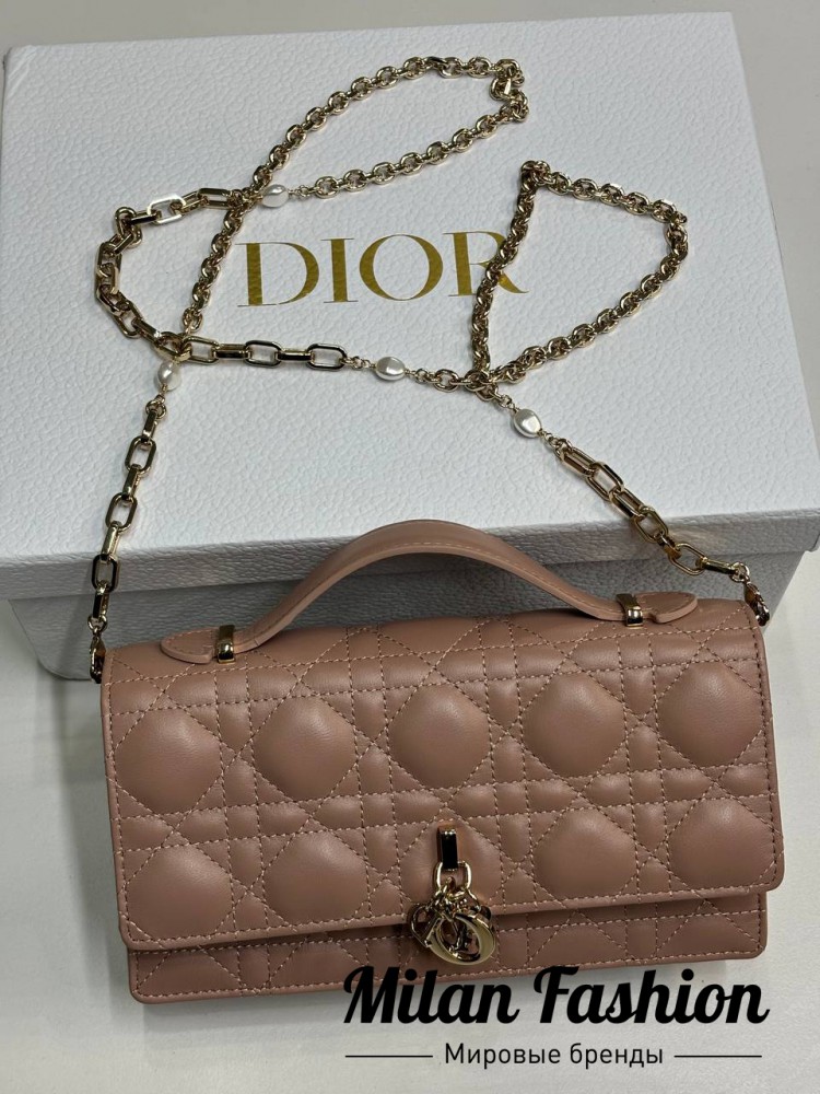 Сумка  Christian Dior V52231. Вид 1