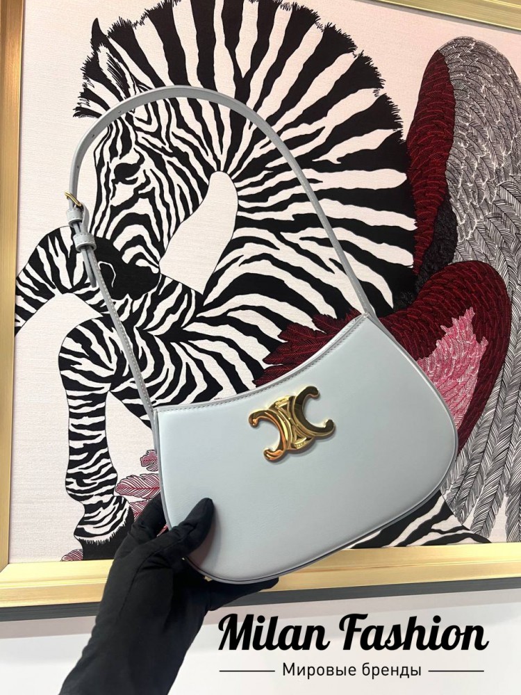 Сумка  Celine V52329. Вид 4