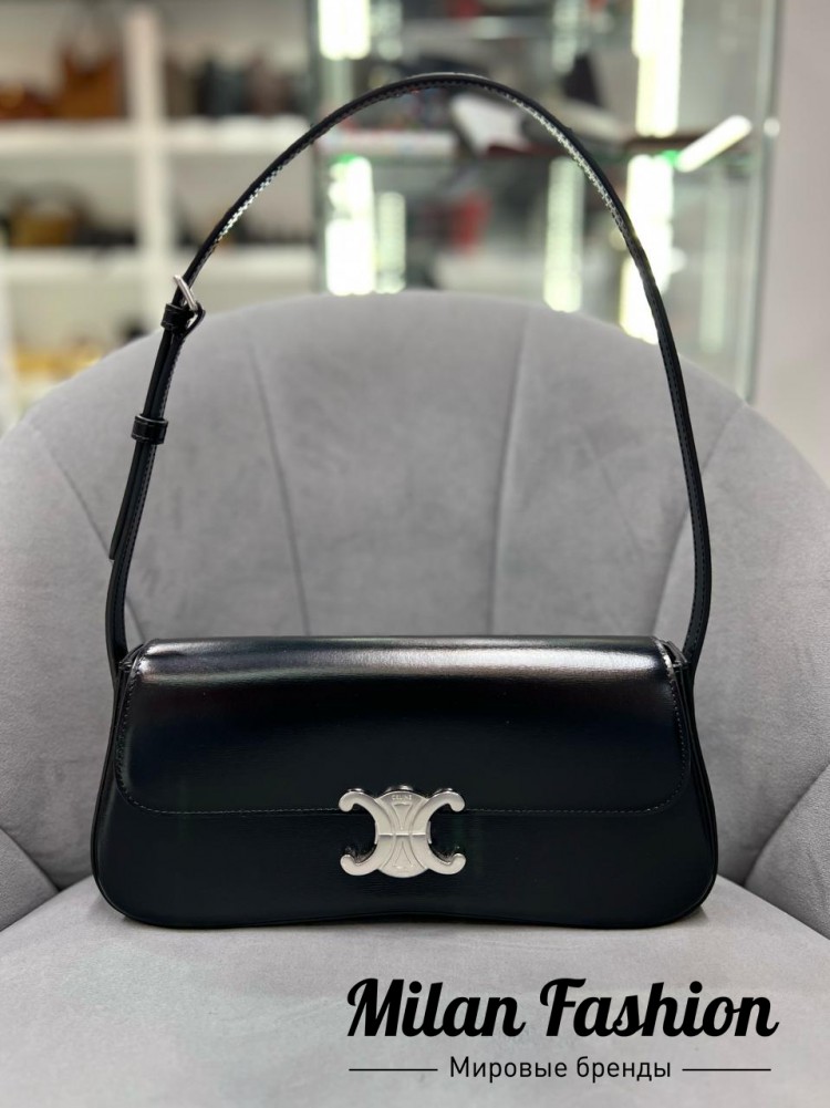 Сумка  Celine V52249. Вид 1