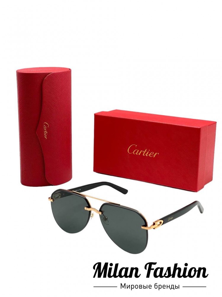 Очки  Cartier V31979. Вид 1