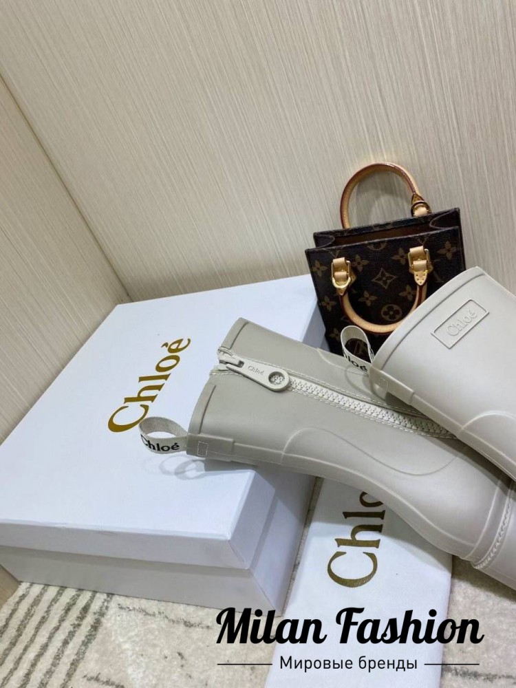 Ботинки  Chloe V101197. Вид 5