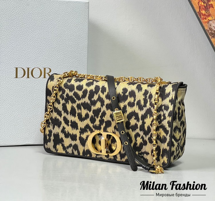 Сумка  Christian Dior V10833. Вид 1