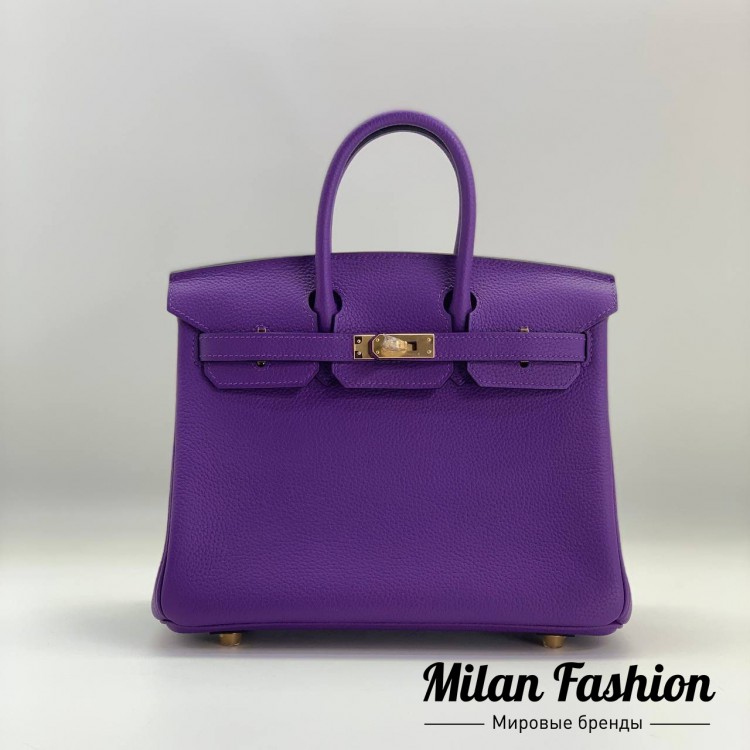 Сумка Birkin 25 Hermes v0933. Вид 2