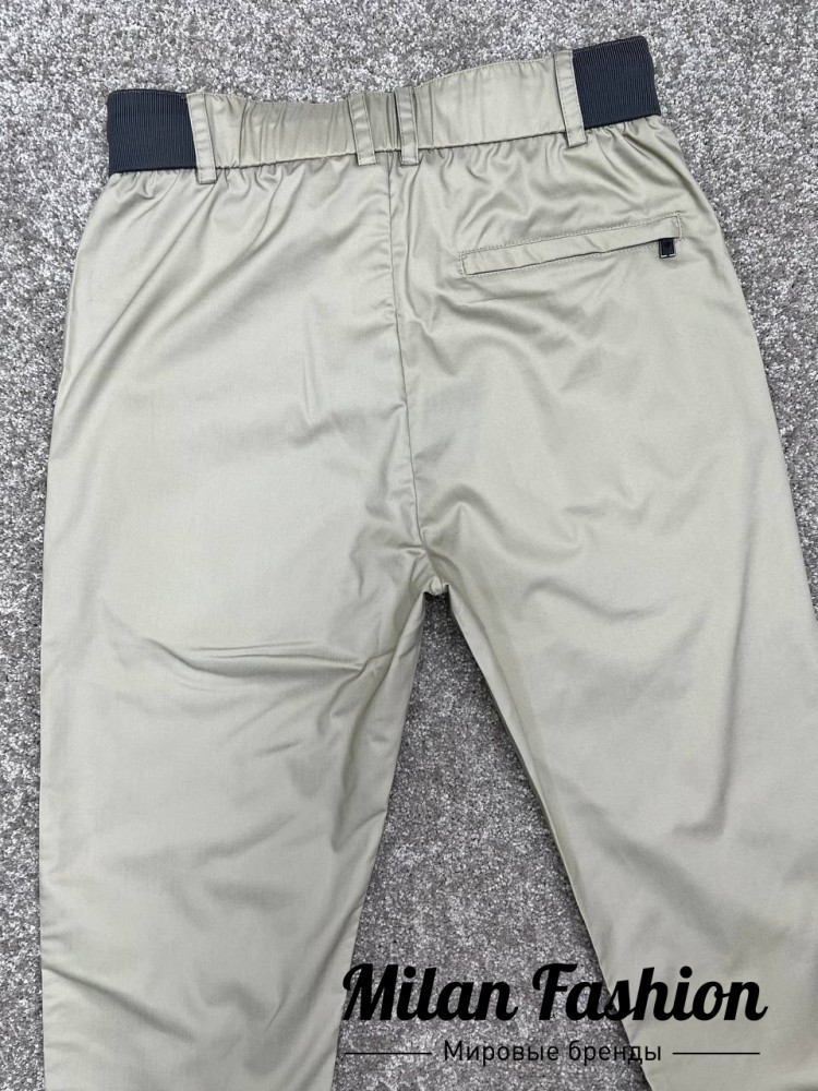 Брюки  Loro Piana V32947. Вид 2