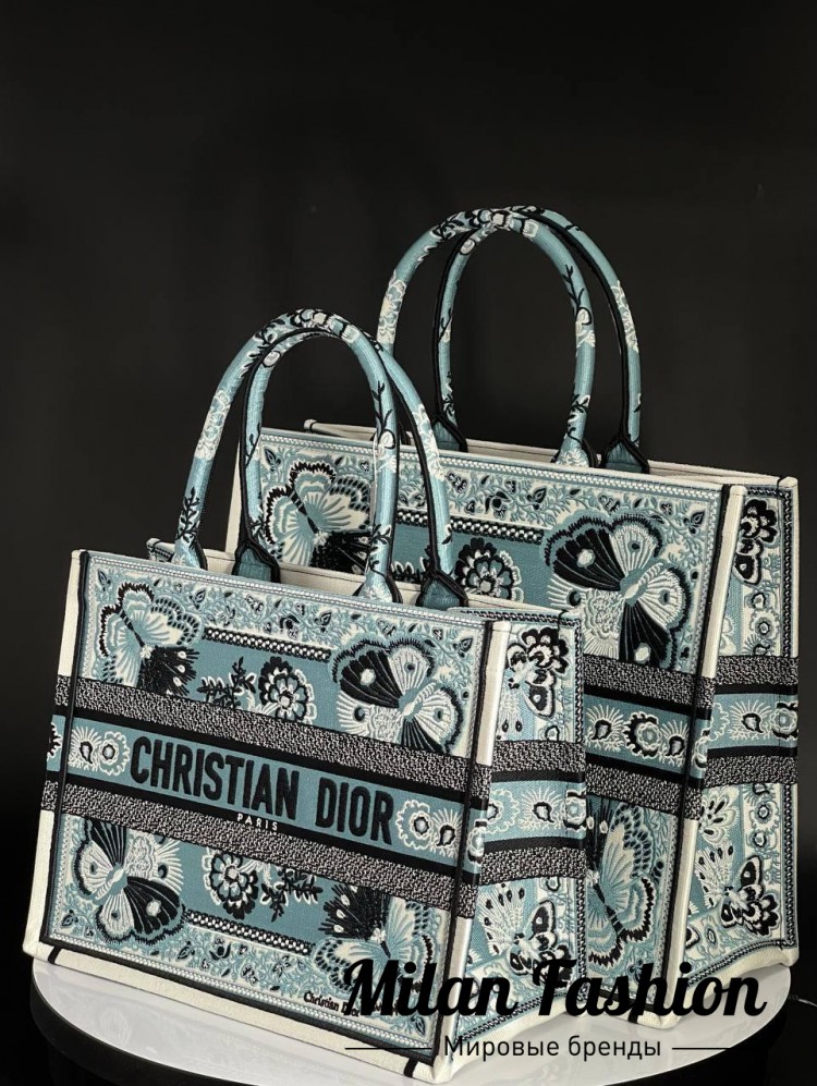 Сумка Christian Dior V43610. Вид 2
