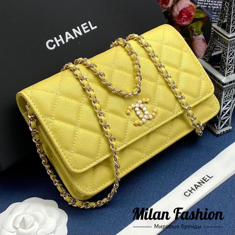 Сумка  Chanel V6599. Вид 1