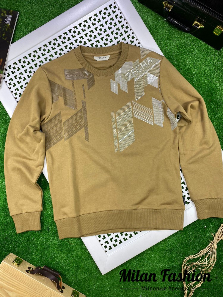 Свитшот  ZEGNA V10246. Вид 1