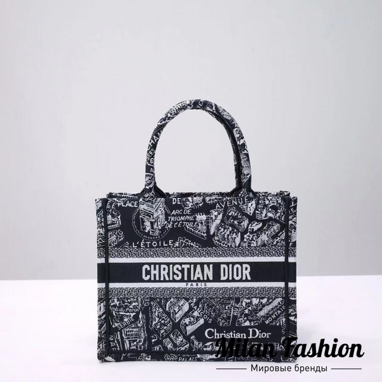 Сумка  Christian Dior V33020. Вид 1