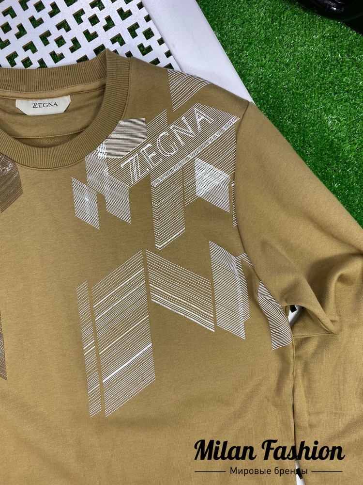 Свитшот  ZEGNA V10246. Вид 2