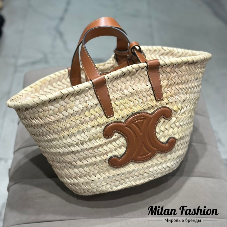 Сумка  Celine V33740. Вид 1