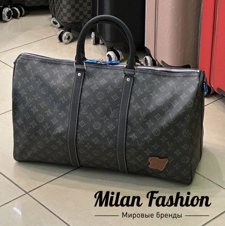 Сумка  Louis Vuitton V31511. Вид 1