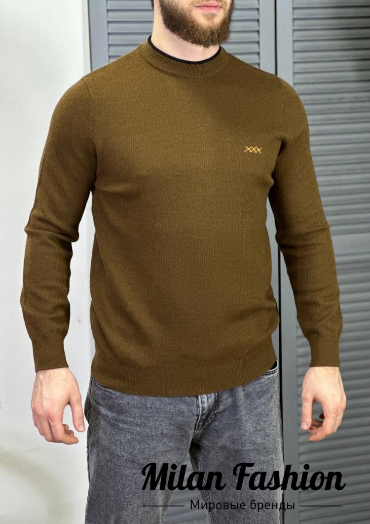 Свитер  ZEGNA V33605. Вид 1