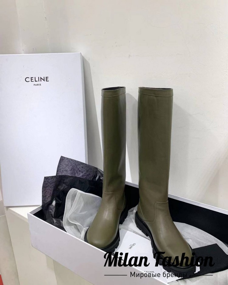 Сапоги  Celine V13911. Вид 3