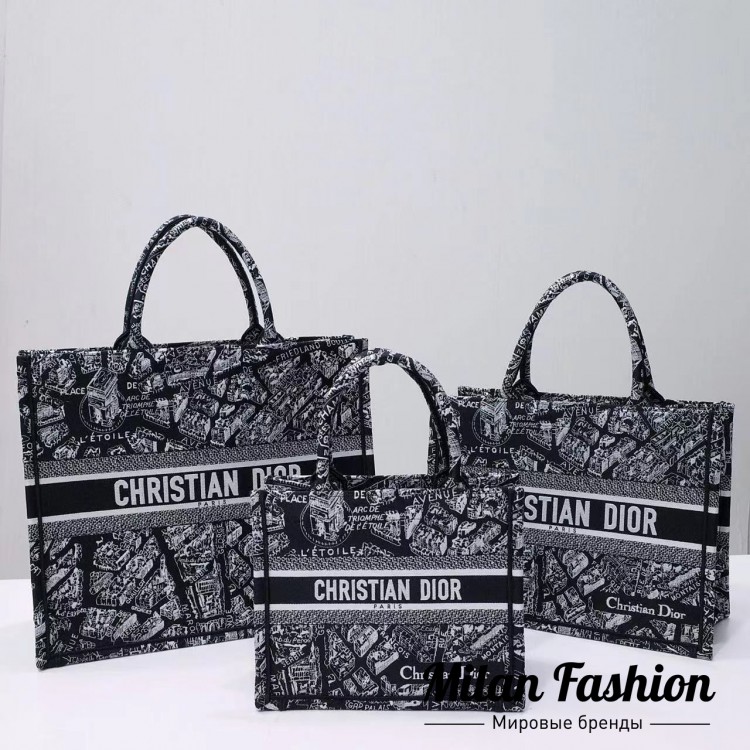Сумка  Christian Dior V33020. Вид 2