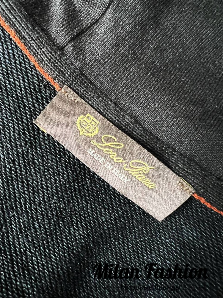 Спортивный костюм  Loro Piana V34841. Вид 5