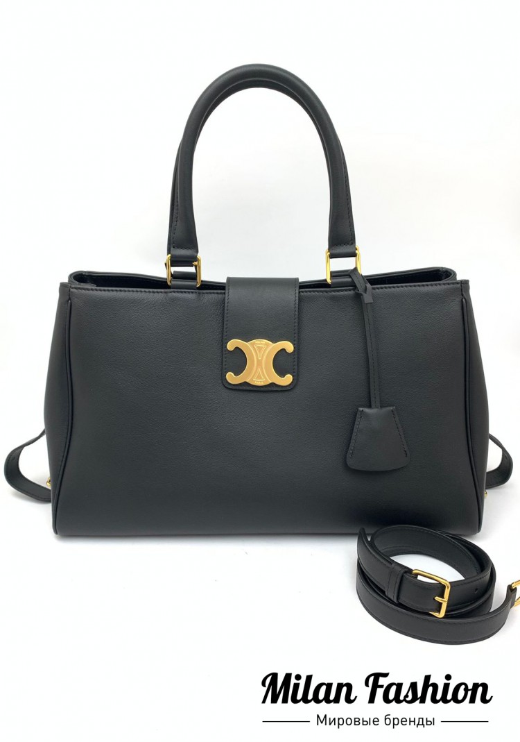 Сумка  Celine V31823. Вид 1