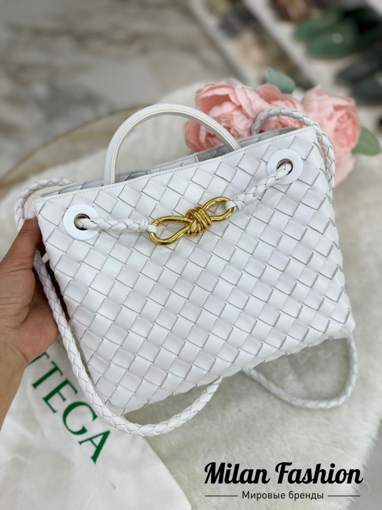 Сумка  Bottega Veneta V33426. Вид 1