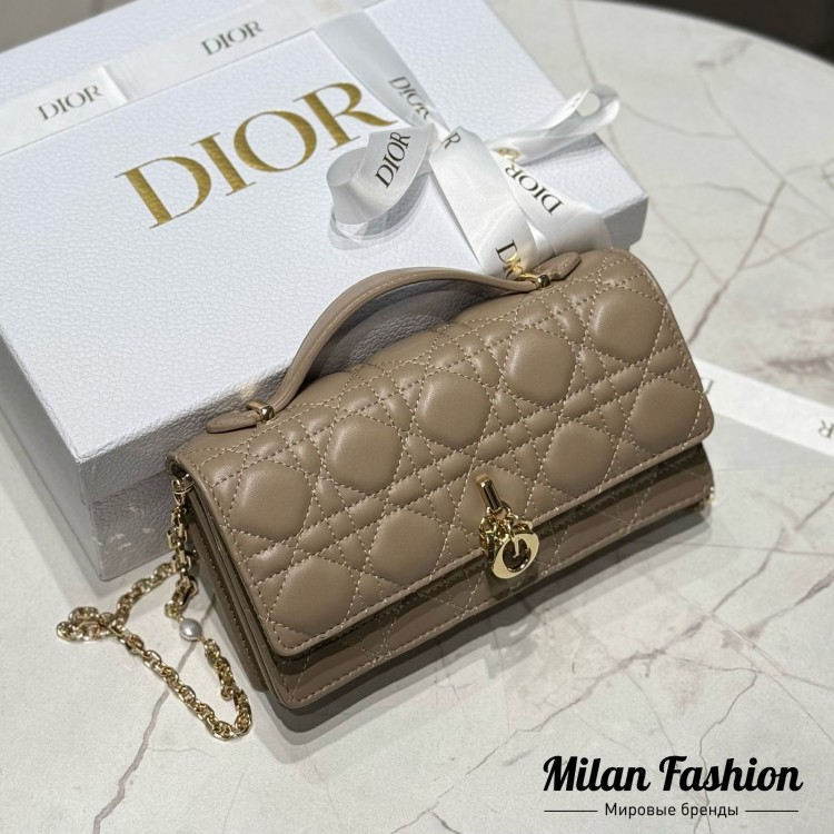 Сумка  Christian Dior V52160. Вид 1