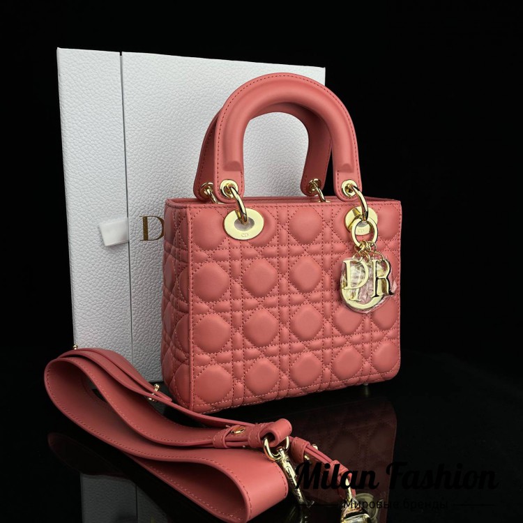 Сумка  Christian Dior V6849. Вид 1